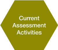 Current Assessment Activities